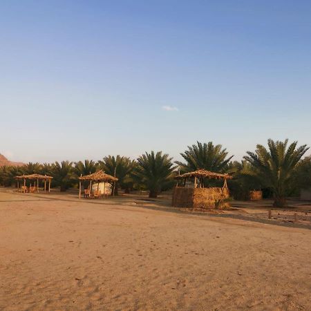 Almazham Camp Resort Al Ula Bagian luar foto