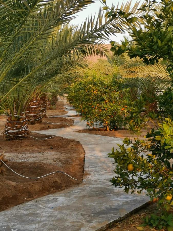 Almazham Camp Resort Al Ula Bagian luar foto