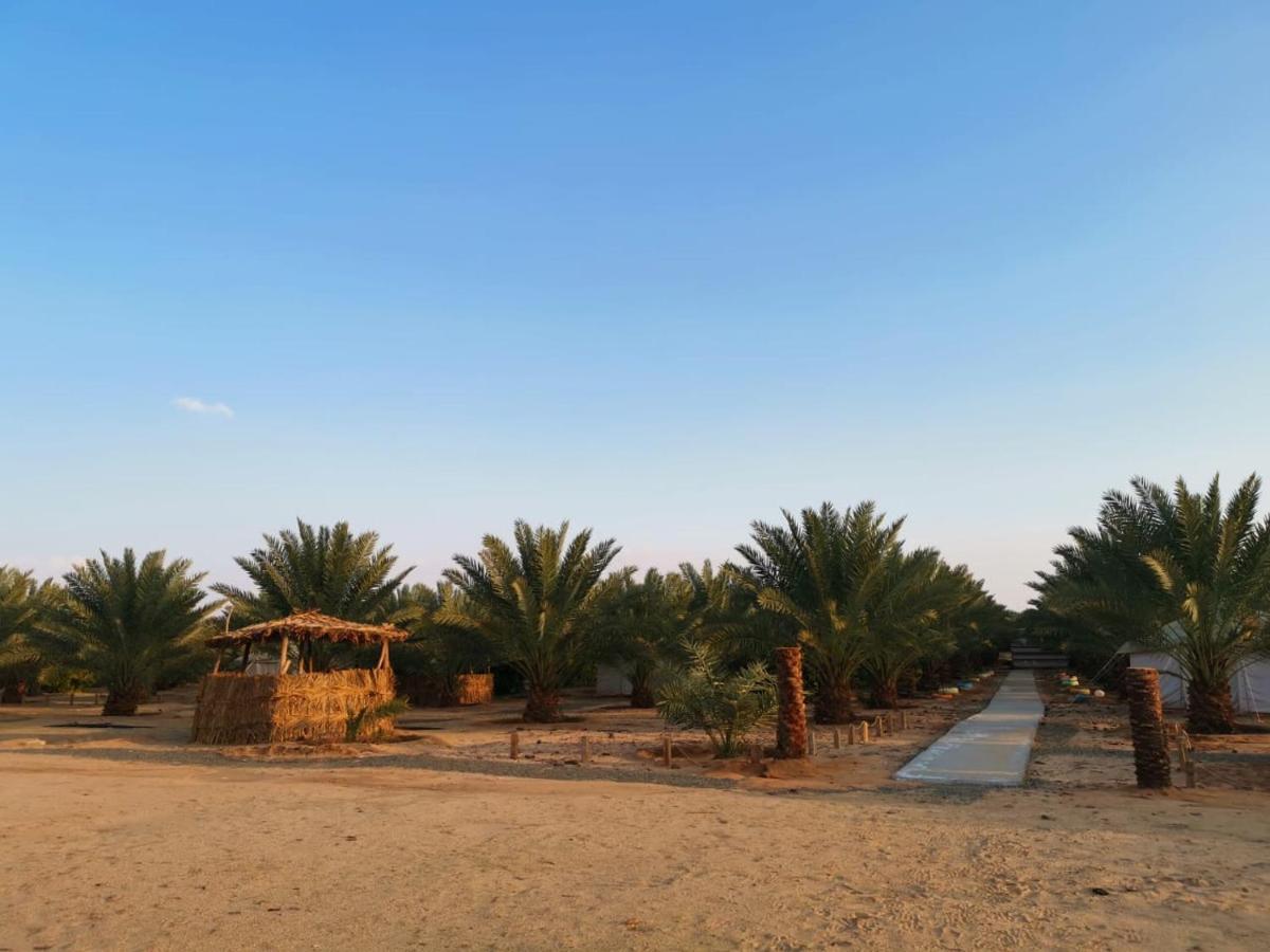 Almazham Camp Resort Al Ula Bagian luar foto